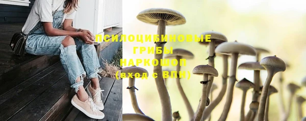мдпв Орехово-Зуево
