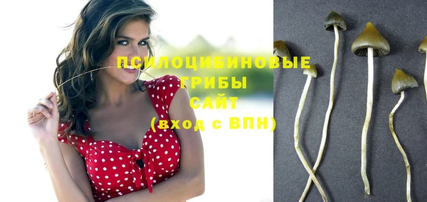 мдпв Орехово-Зуево